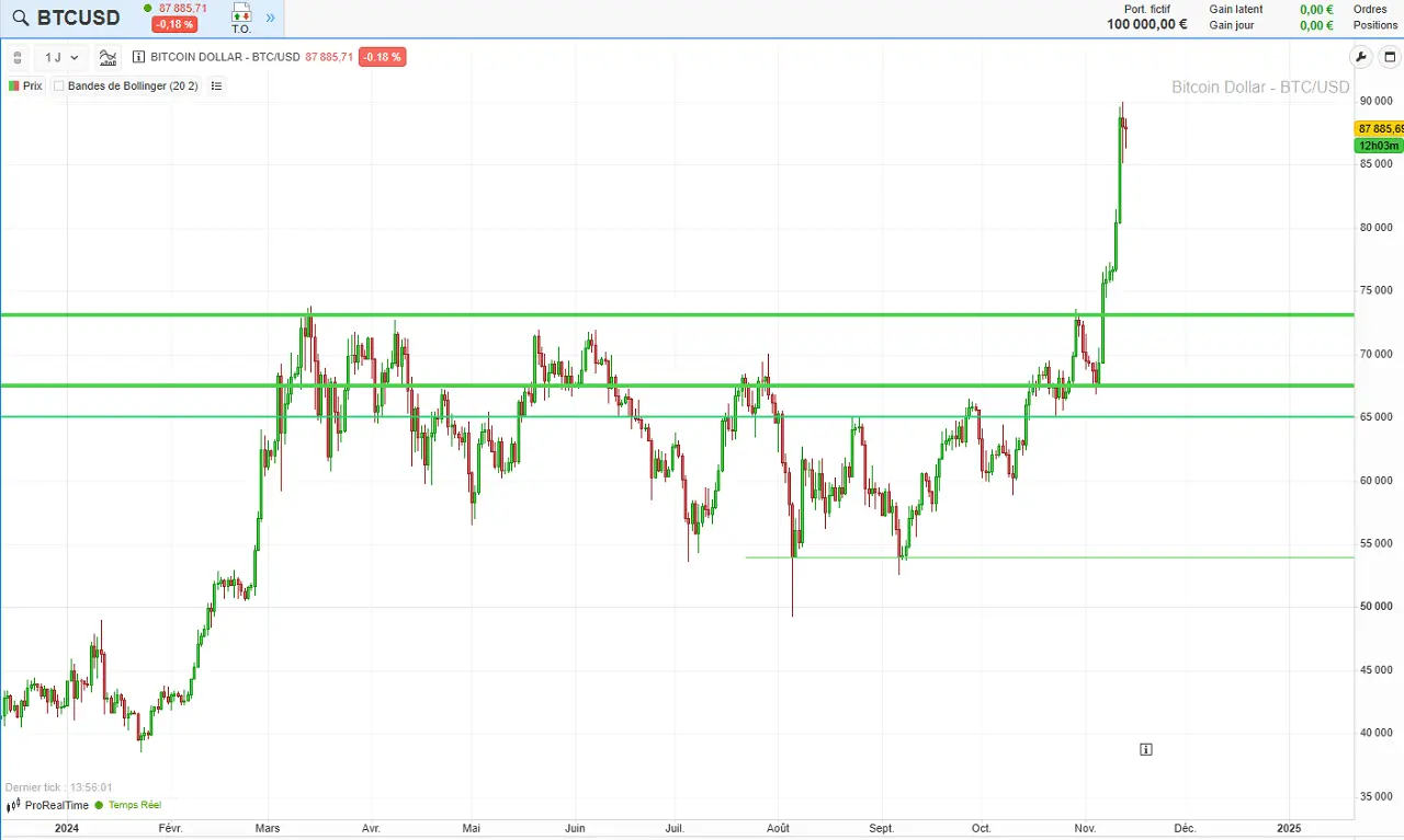 analyse 1 an Bitcoin en novembre 2024